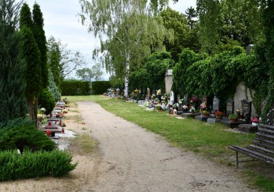 Roudnice nad Labem, Omnium, 2020