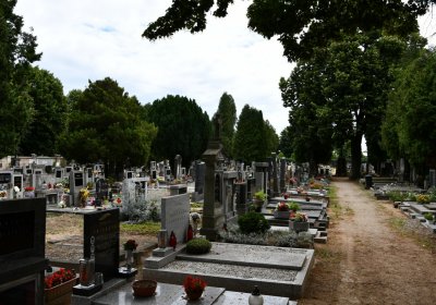 Roudnice nad Labem, Omnium, 2020