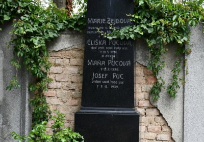 Roudnice nad Labem, Omnium, 2020