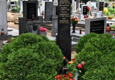 Roudnice nad Labem, Omnium, 2020