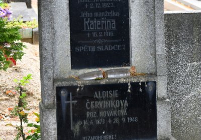 Roudnice nad Labem, Omnium, 2020