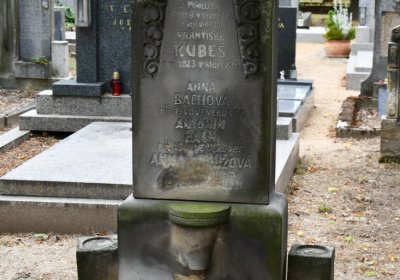 Roudnice nad Labem, Omnium, 2020