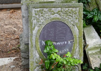 Roudnice nad Labem, Omnium, 2020