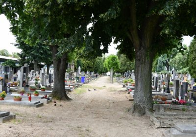 Roudnice nad Labem, Omnium, 2020