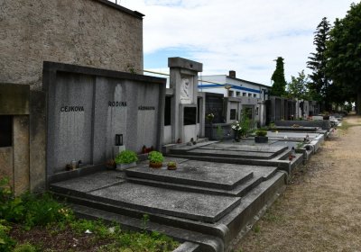 Roudnice nad Labem, Omnium, 2020