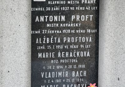 Roudnice nad Labem, Omnium, 2020