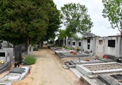 Roudnice nad Labem, Omnium, 2020
