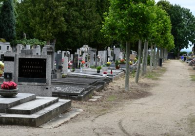 Roudnice nad Labem, Omnium, 2020