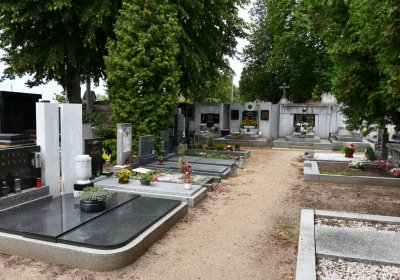 Roudnice nad Labem, Omnium, 2020