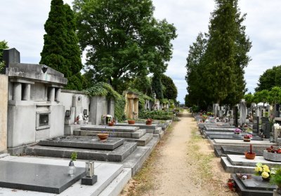 Roudnice nad Labem, Omnium, 2020