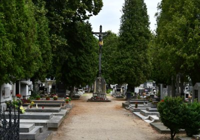 Roudnice nad Labem, Omnium, 2020