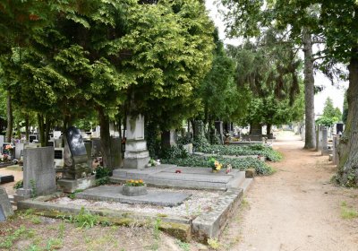 Roudnice nad Labem, Omnium, 2020