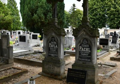 Roudnice nad Labem, Omnium, 2020