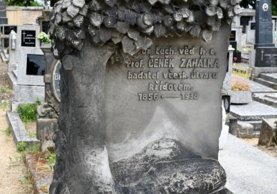 Roudnice nad Labem, Omnium, 2020