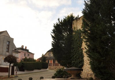 Roudnice nad Labem starý židovský hřbitov, Omnium, 2020