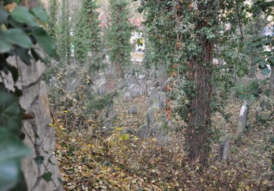 Roudnice nad Labem starý židovský hřbitov, Omnium, 2020