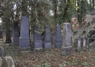 Roudnice nad Labem starý židovský hřbitov, Omnium, 2020