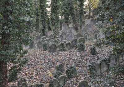 Roudnice nad Labem starý židovský hřbitov, Omnium, 2020
