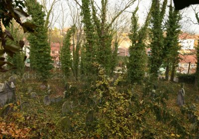 Roudnice nad Labem starý židovský hřbitov, Omnium, 2020