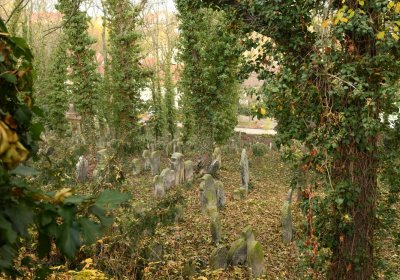 Roudnice nad Labem starý židovský hřbitov, Omnium, 2020