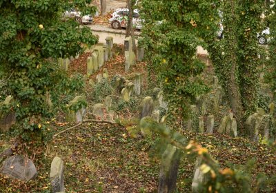 Roudnice nad Labem starý židovský hřbitov, Omnium, 2020