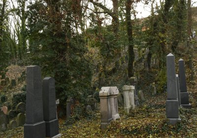 Roudnice nad Labem starý židovský hřbitov, Omnium, 2020