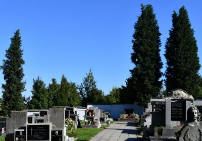 Siřejovice, Omnium, 2020