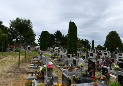 Straškov-Vodochody, Omnium, 2020