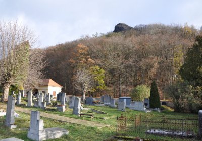 Třebušín, Omnium, 2020