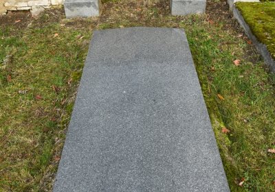 Třebušín, Omnium, 2020