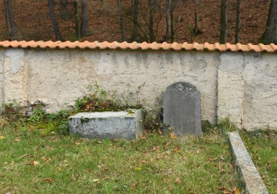 Třebušín, Omnium, 2020
