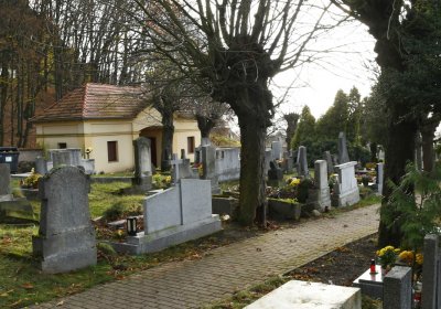 Třebušín, Omnium, 2020