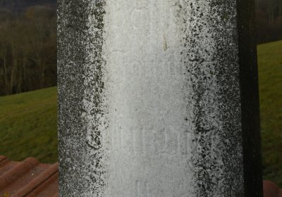 Třebušín, Omnium, 2020