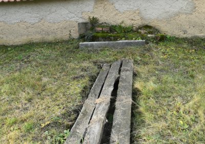 Třebušín, Omnium, 2020