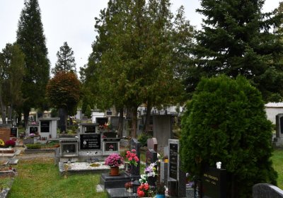 Velké Žernoseky, Omnium, 2020