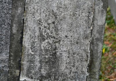 Velké Žernoseky, Omnium, 2020