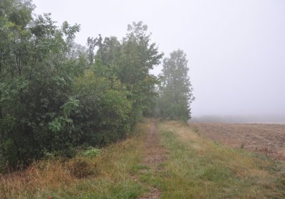 Sutom obecní, Omnium, 2020