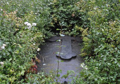 Sutom obecní, Omnium, 2020