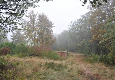 Sutom obecní, Omnium, 2020