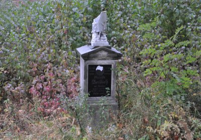 Sutom obecní, Omnium, 2020