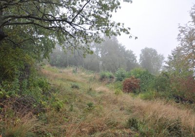 Sutom obecní, Omnium, 2020