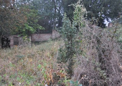 Sutom obecní, Omnium, 2020