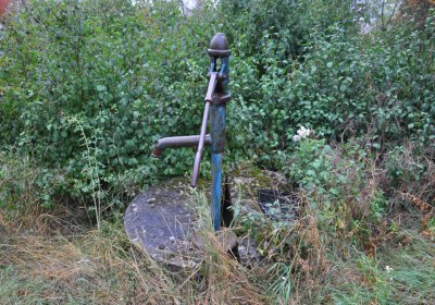 Sutom obecní, Omnium, 2020