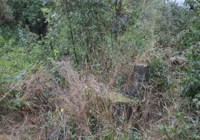 Sutom obecní, Omnium, 2020