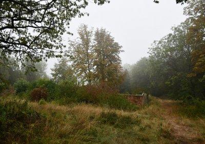 Sutom obecní, Omnium, 2020