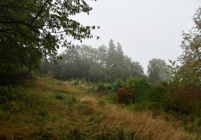 Sutom obecní, Omnium, 2020