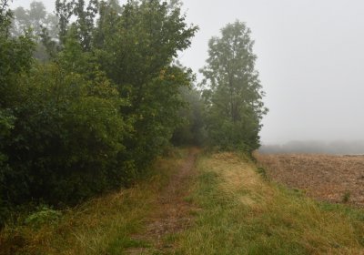 Sutom obecní, Omnium, 2020