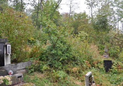 Sutom obecní, Omnium, 2020