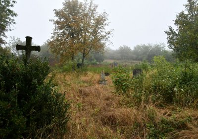 Sutom obecní, Omnium, 2020