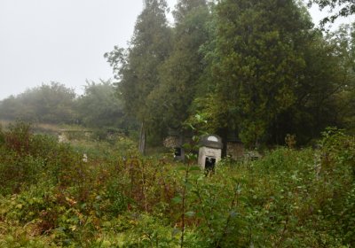 Sutom obecní, Omnium, 2020